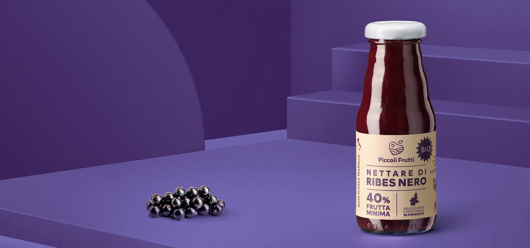 Produzione e lavorazione frutta biologica - Nettare di ribes nero