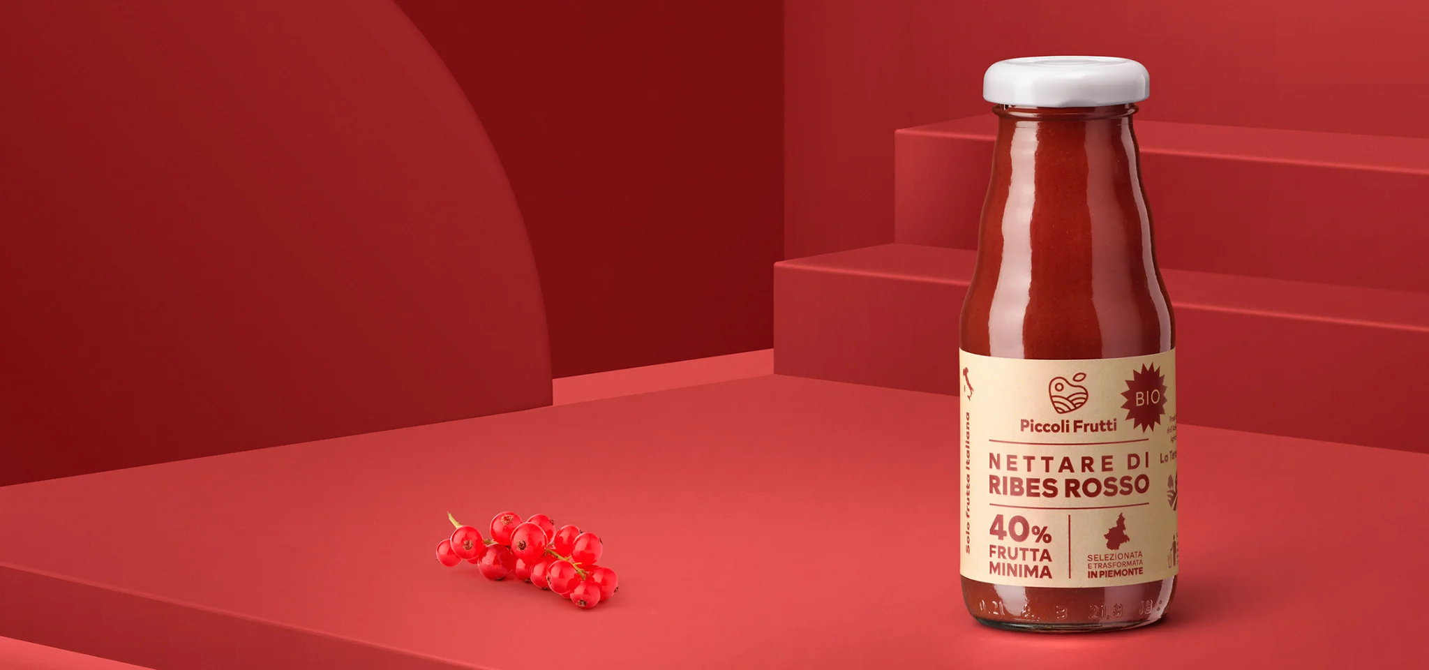 Produzione e lavorazione frutta biologica - Nettare di ribes rosso